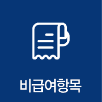 비급여 항목